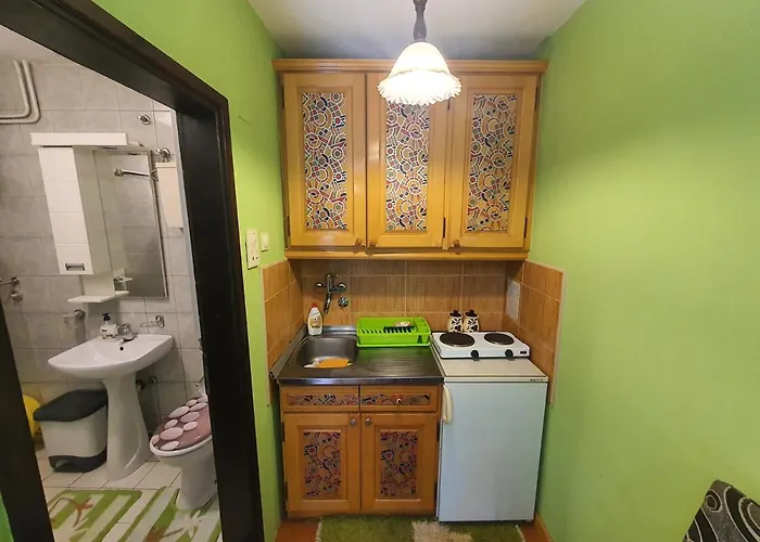 Milena - Dvoriste & Parking * 兹拉蒂博尔