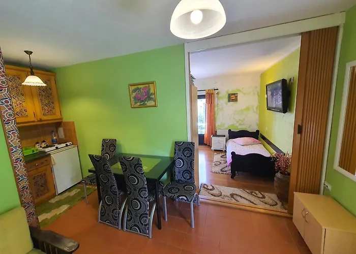 Apartman Milena - Dvoriste & Parking