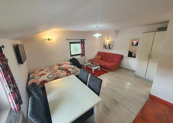 Milena - Dvoriste & Parking * Zlatibor