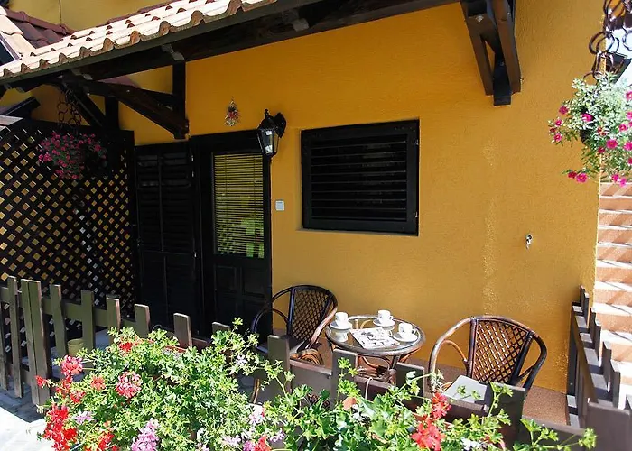 Milena - Dvoriste & Parking * Zlatibor