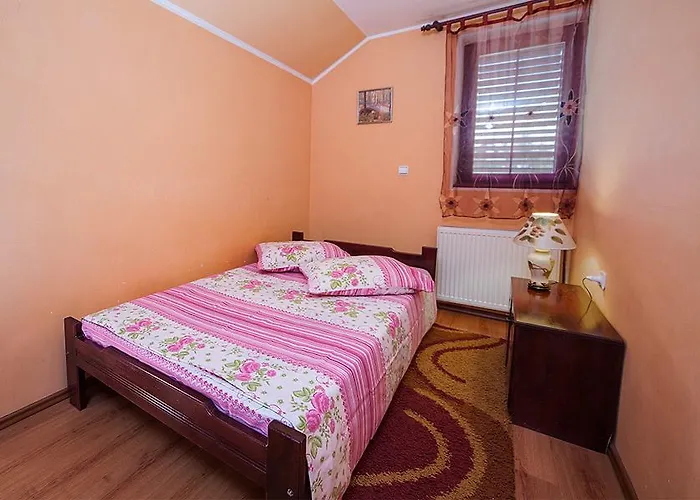 Milena - Dvoriste & Parking * Zlatibor