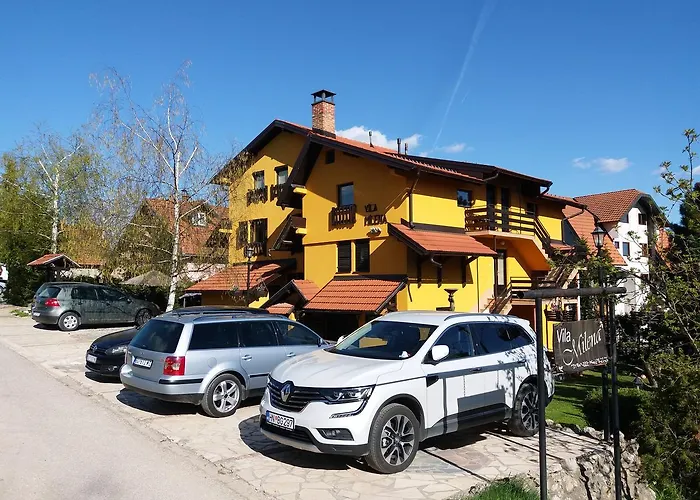 Milena - Dvoriste & Parking * Zlatibor